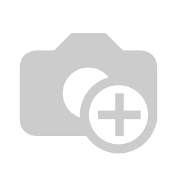 Carenagem DRT (junto ao estrado), Neco (Lola) (Branco)