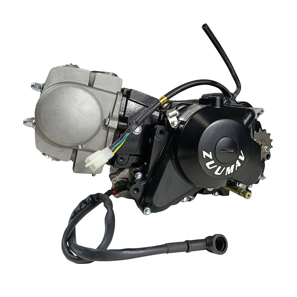Motor Completo 125cc (automatico) (c/ motor de arranque por BAIXO), Pitbike